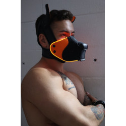 Breedwell Masque Poundtown Pup Breedwell Noir-Orange